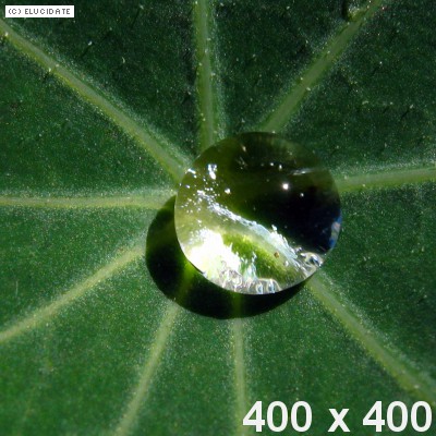 Leider haben wir keine weiteren Informationen zu diesem Link. Wir arbeiten daran und bitten um Ihr Verständnis.